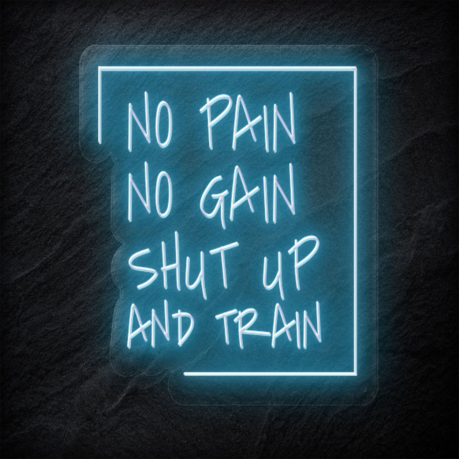 "No Pain No Gain " LED Neonschild Sign - NEONEVERGLOW