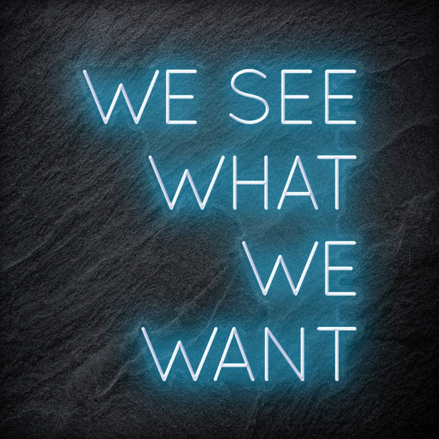 "We See What We Want" LED Neon Schriftzug Sign - NEONEVERGLOW