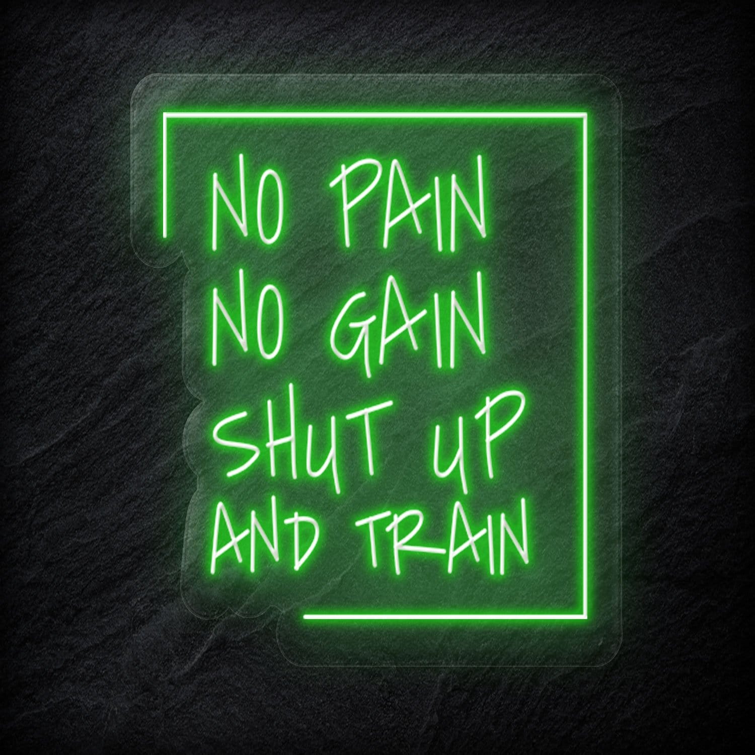 "No Pain No Gain " LED Neonschild Sign - NEONEVERGLOW