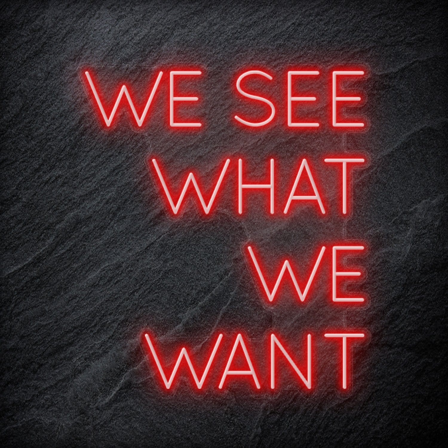 "We See What We Want" LED Neon Schriftzug Sign - NEONEVERGLOW