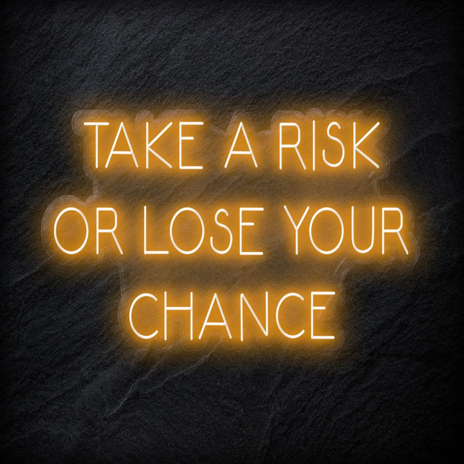 " Take A Risk Or Lose Your Chance" LED Neon Sign Schriftzug - NEONEVERGLOW
