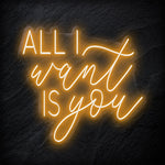 " All I Want Is You" LED Neonschild - NEONEVERGLOW