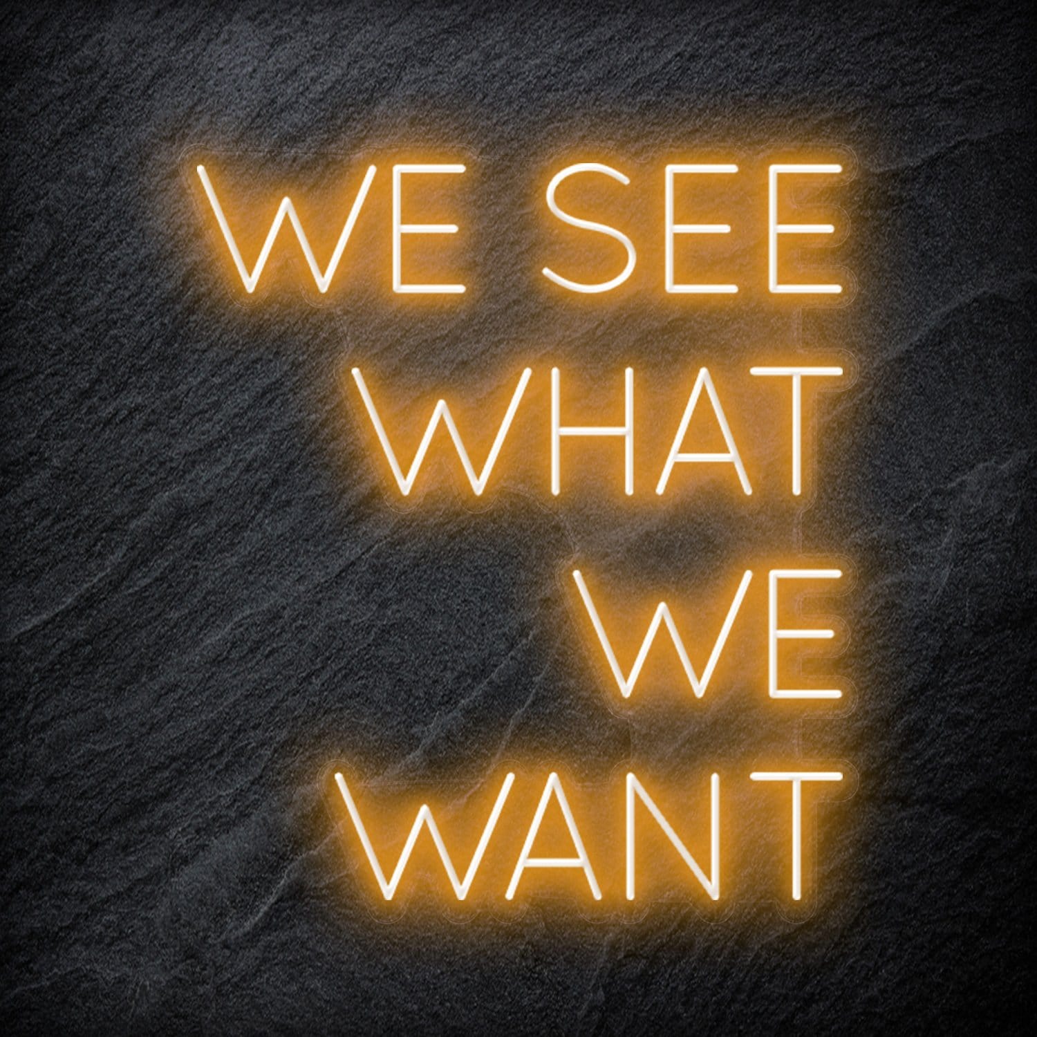 "We See What We Want" LED Neon Schriftzug Sign - NEONEVERGLOW
