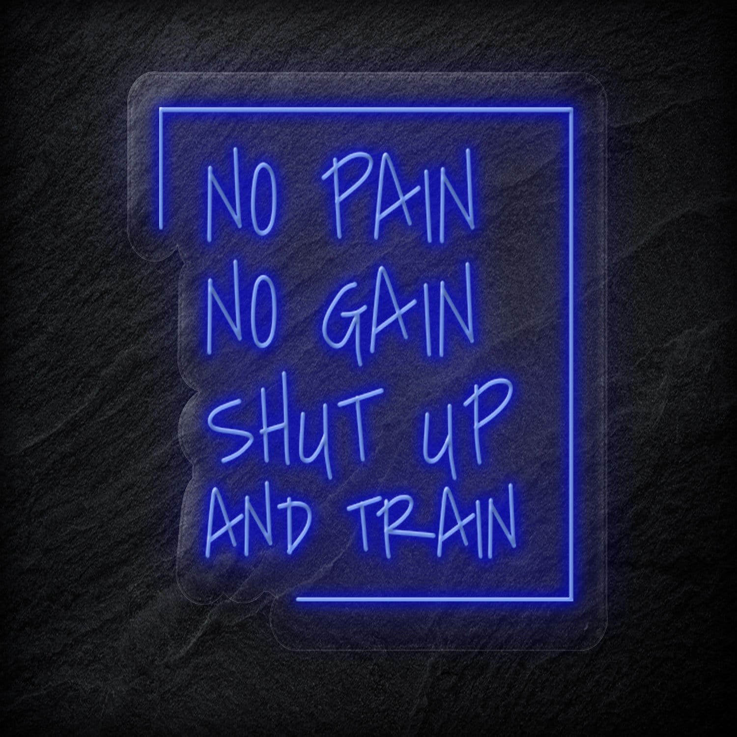 "No Pain No Gain " LED Neonschild Sign - NEONEVERGLOW