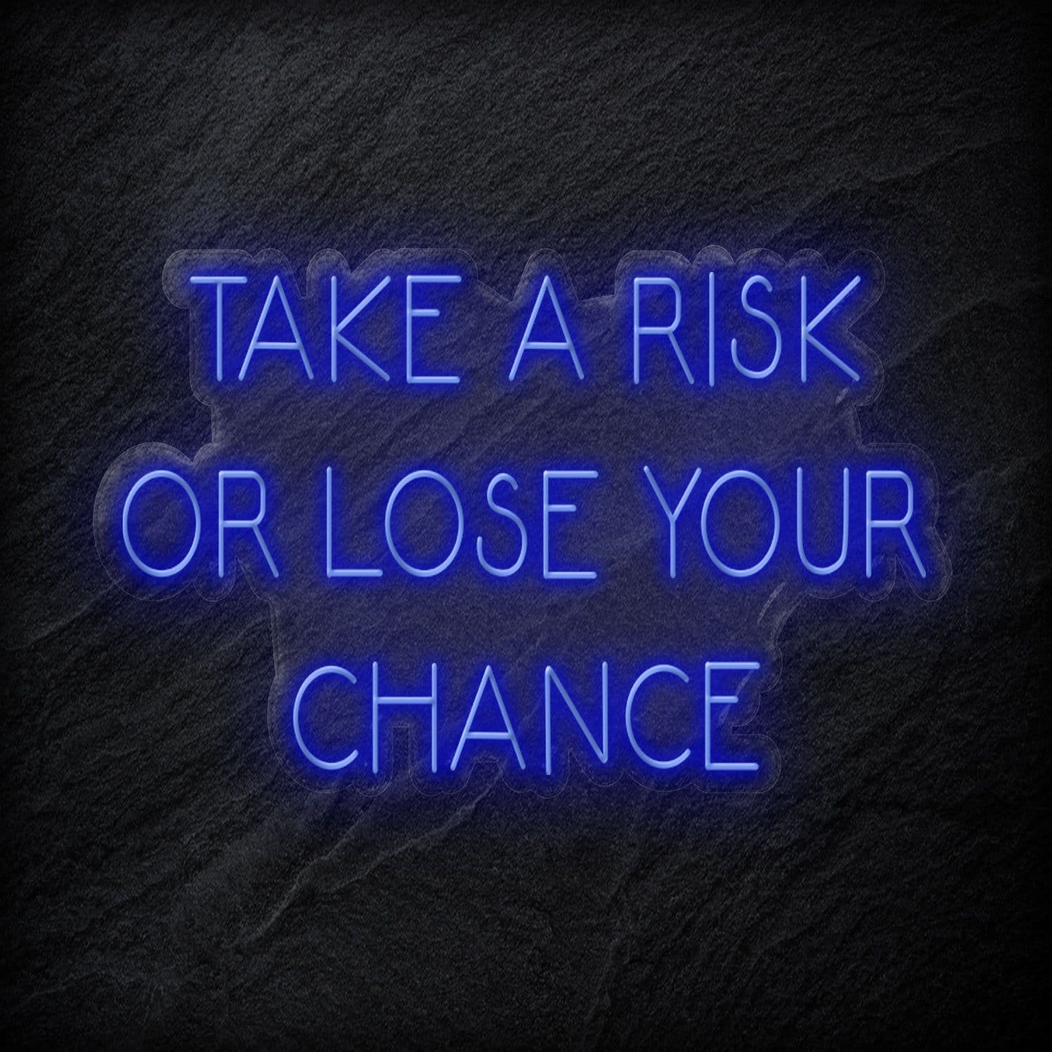 " Take A Risk Or Lose Your Chance" LED Neon Sign Schriftzug - NEONEVERGLOW