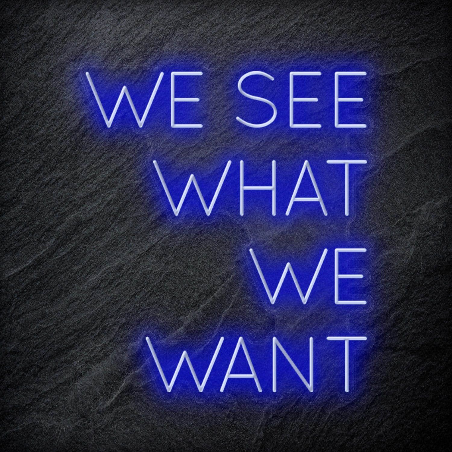 "We See What We Want" LED Neon Schriftzug Sign - NEONEVERGLOW