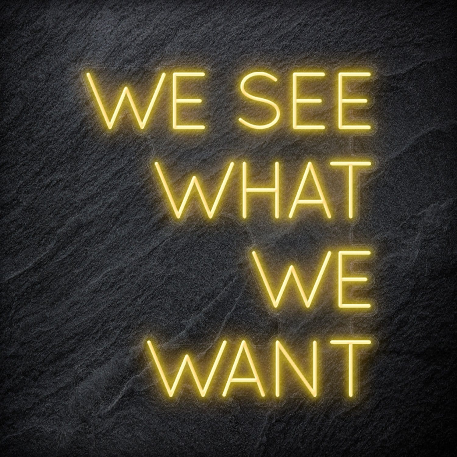 "We See What We Want" LED Neon Schriftzug Sign - NEONEVERGLOW